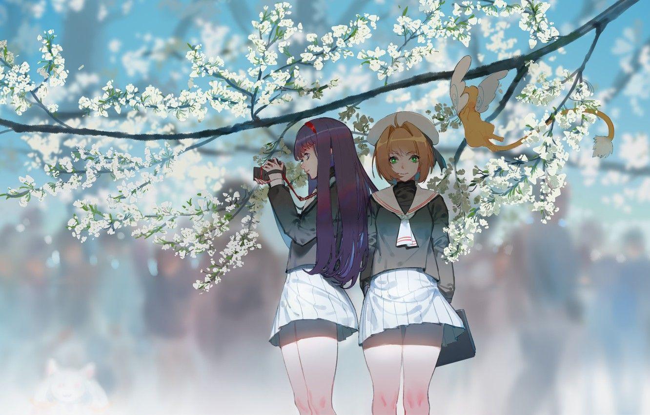 1332x850 Wallpaper mahou shoujo madoka magica, kyuubee, kinomoto sakura, card captor sakura, daidouji tomoyo, kero, hoshimawa image for desktop, section сёнэн