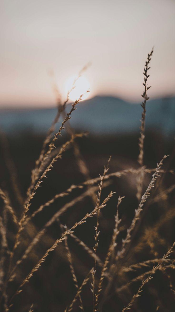 736x1309 Sunrise in the distance #nordic #nature #scenery. Paesaggi, Sfondi, Sfondi vintage