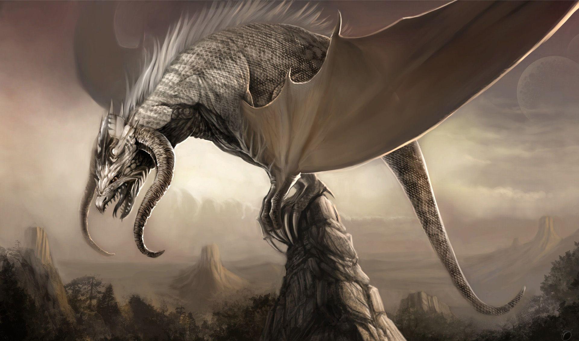 1920x1132 Dragons Wallpaper HD