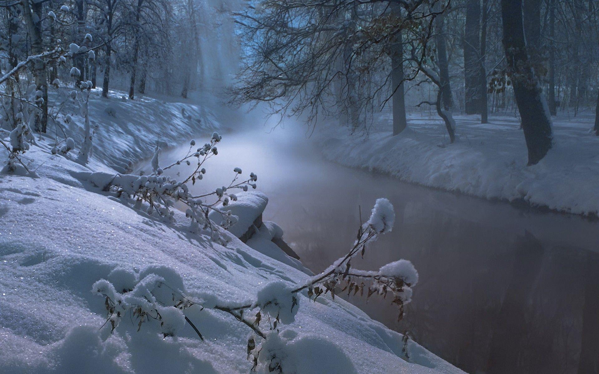 1920x1200 Winter Night Desktop Wallpaper