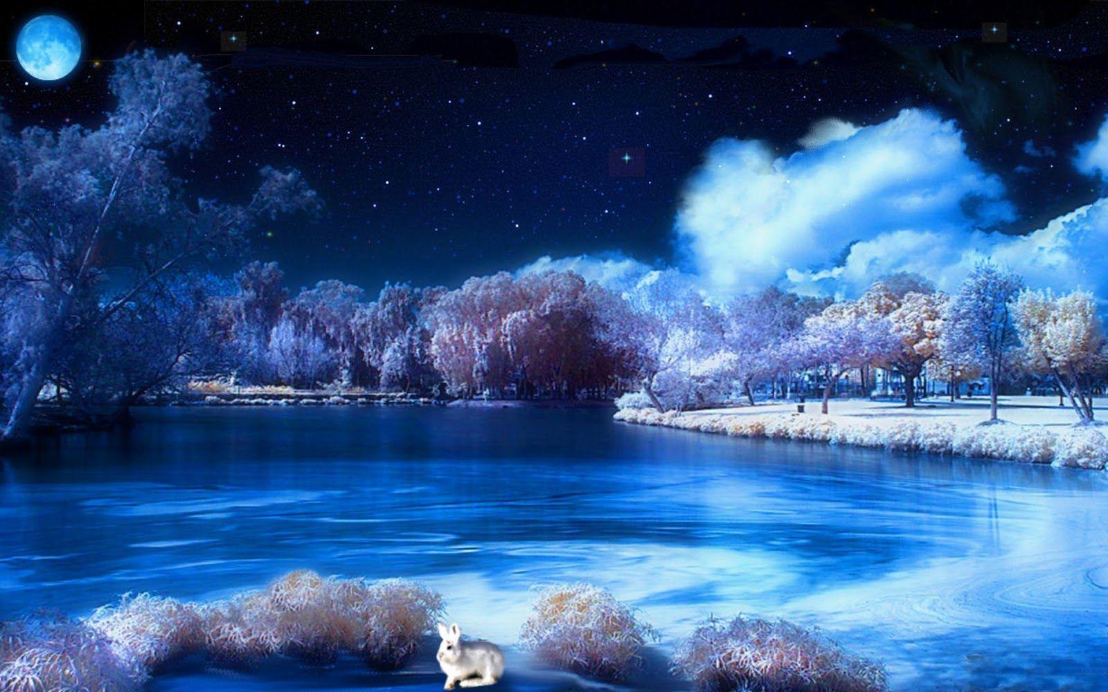 1600x1000 Hd Desktop Wallpaper: Winter's Night