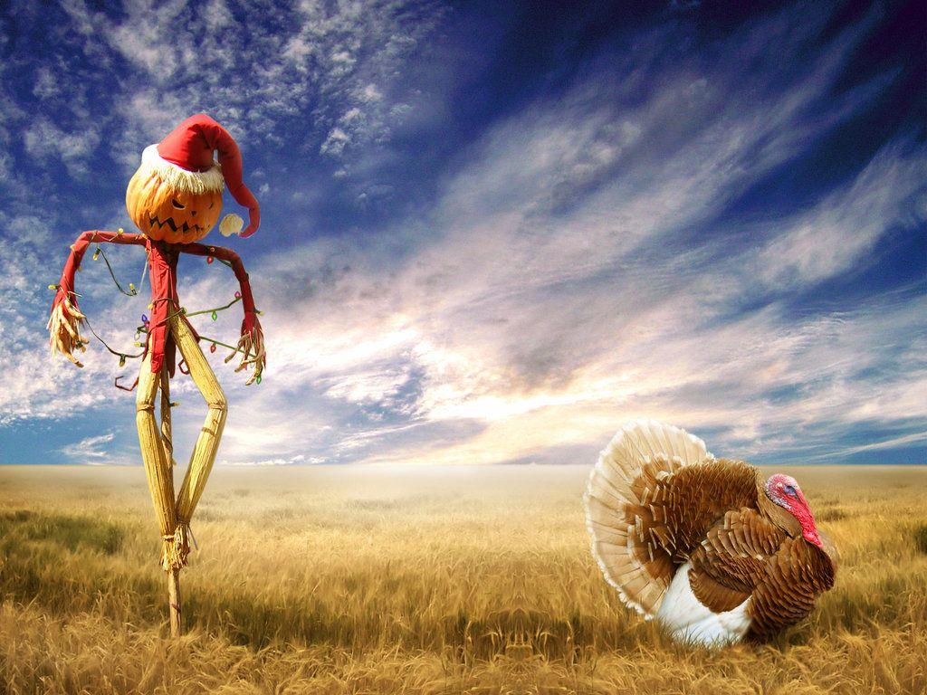 1024x768 Funny Christmas Scarecrow Wallpaper