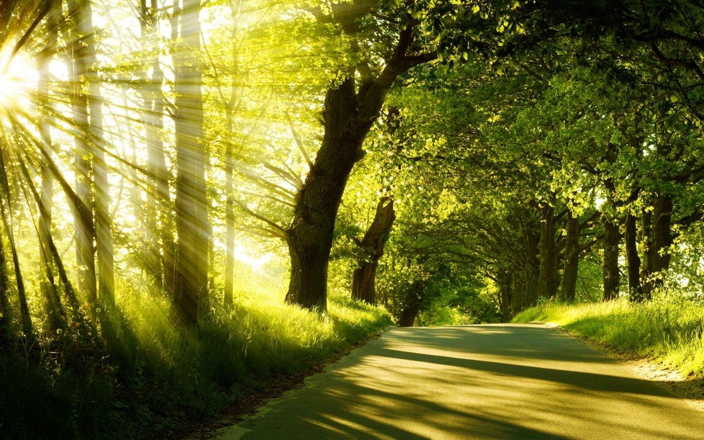 1440x900 undefined Windows Nature Wallpaper (51 Wallpaper). Adorable