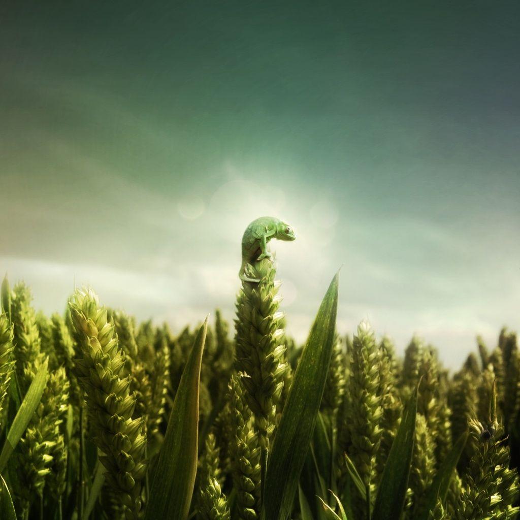 1024x1024 image of Abstract Wallpaper Nature Pics - #FAN
