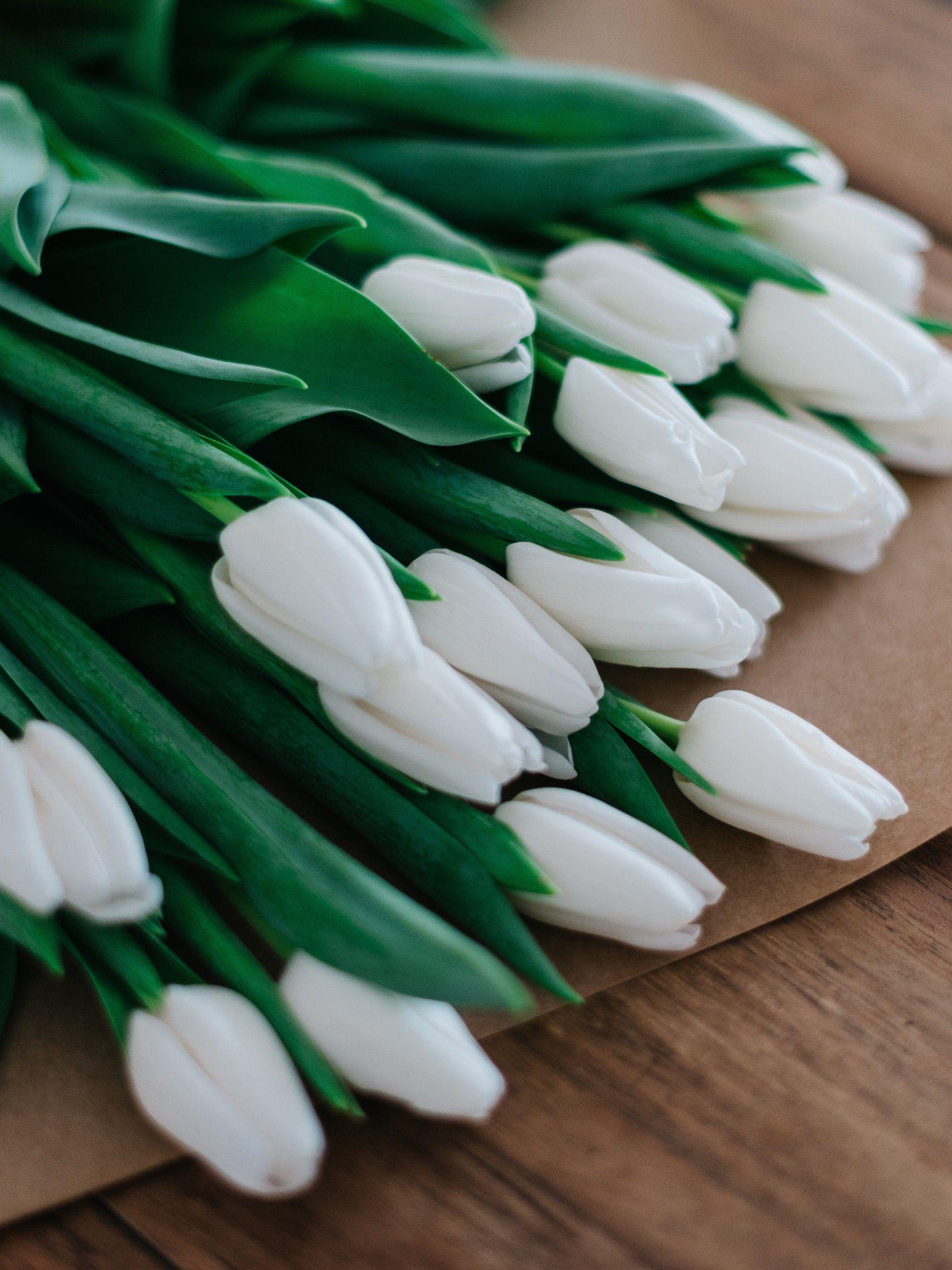 2048x2732 White Tulips Wallpaper, Android & Desktop Background