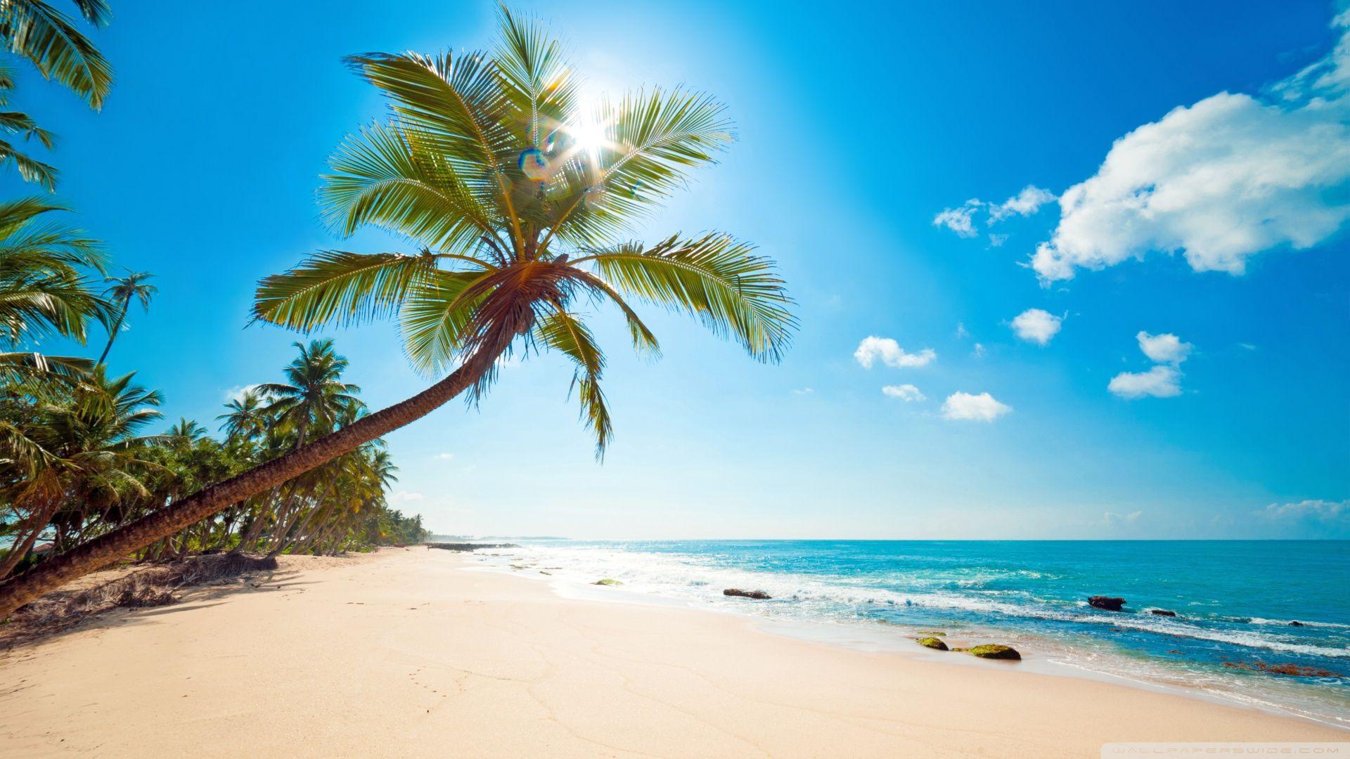 1920x1080 Tropical Sunshine ❤ 4K HD Desktop Wallpaper for 4K Ultra HD TV