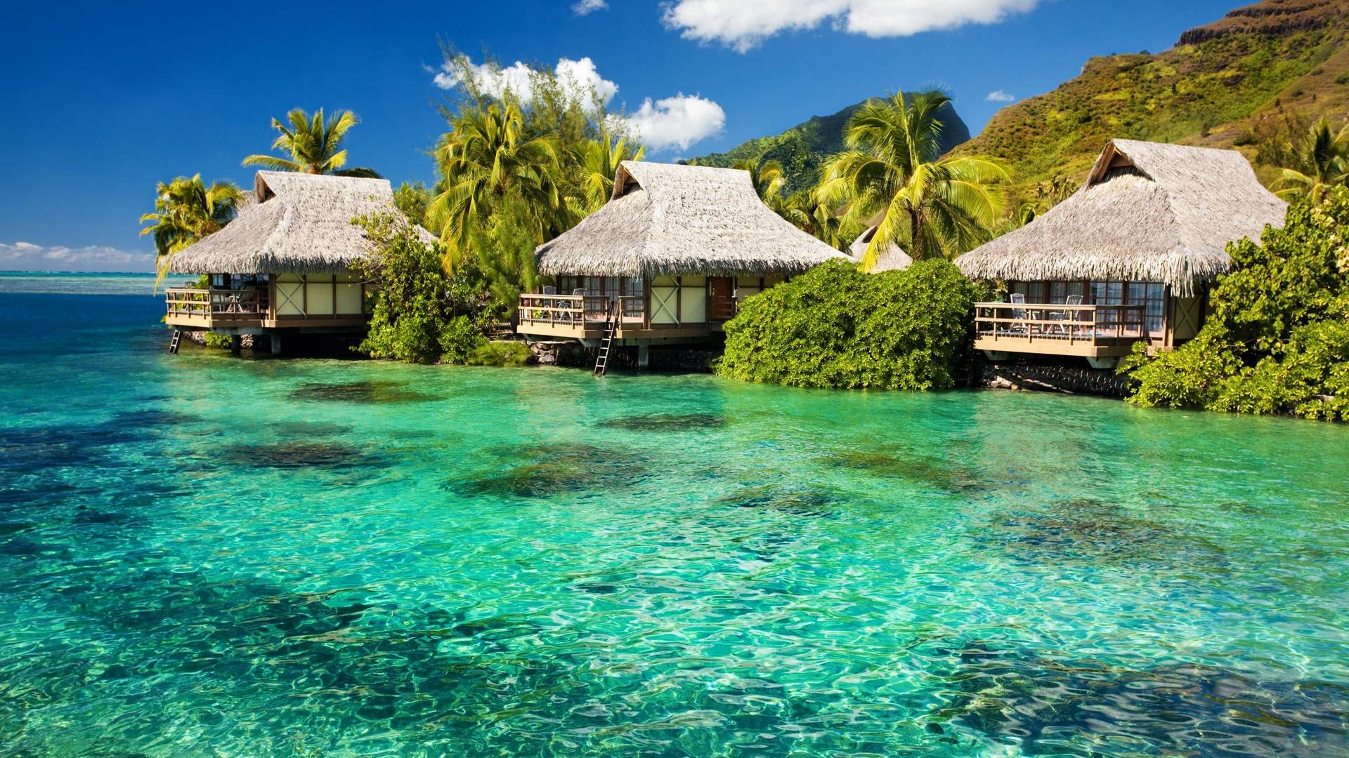 1920x1080 Tropical Wallpaper
