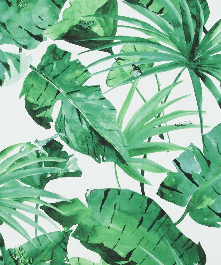 853x1024 Banana Leaf Palm Tropical Wallpaper Brokers Melbourne