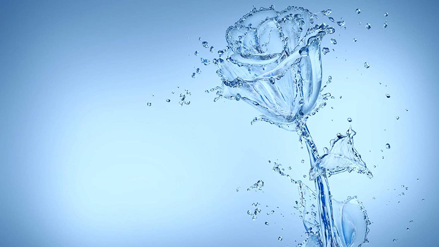 Rose Water Wallpapers Top Free Rose Water Backgrounds WallpaperAccess