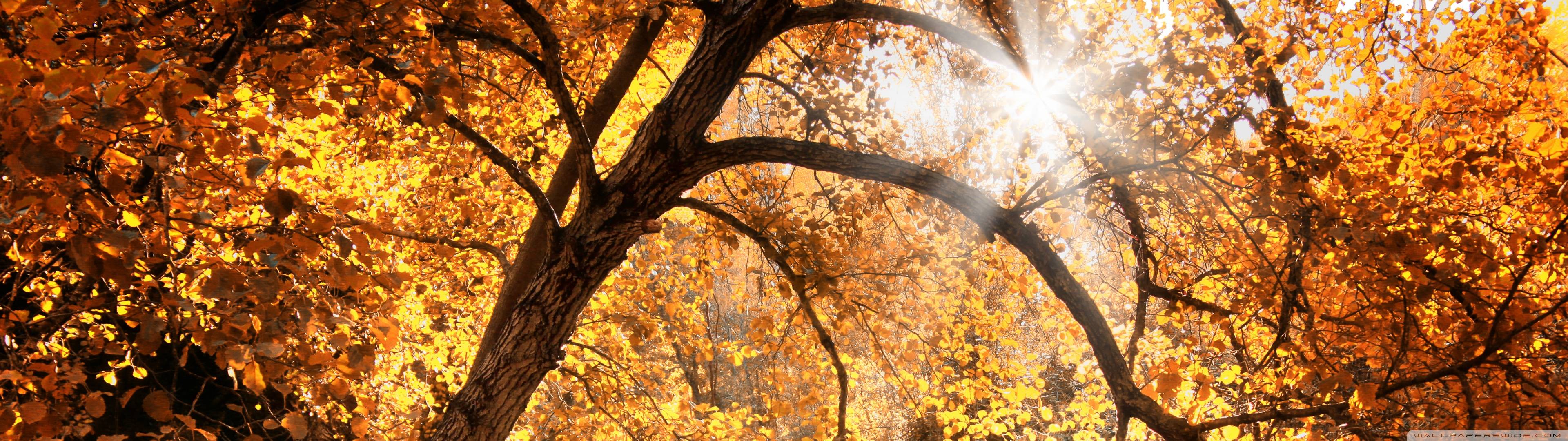 Fall Dual Monitor Wallpapers - Top Free Fall Dual Monitor Backgrounds
