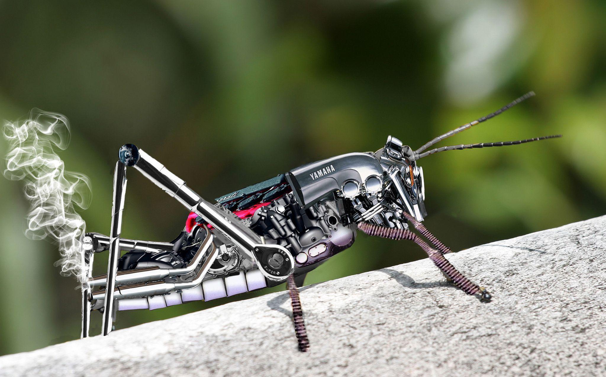 2048x1274 Yamaha Grasshopper wallpaper. Steampunk animals, Yamaha, Smoke wallpaper