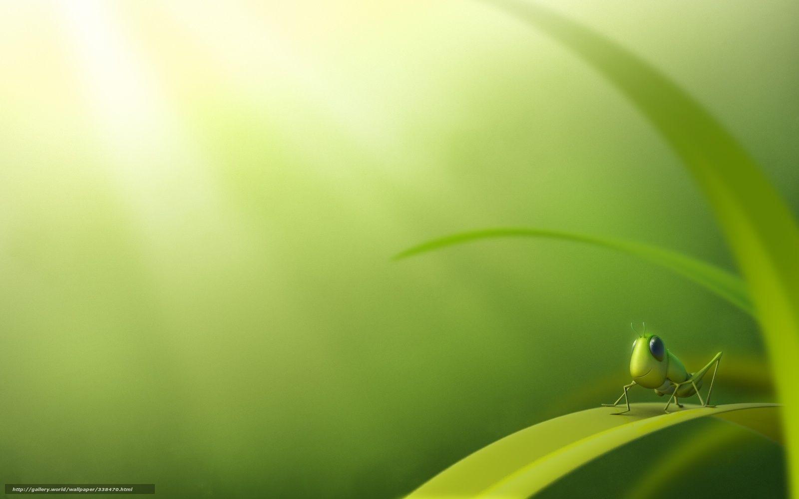 1600x1000 Download wallpaper Funny, green, grasshopper free desktop wallpaper in the resolution 1920x1200