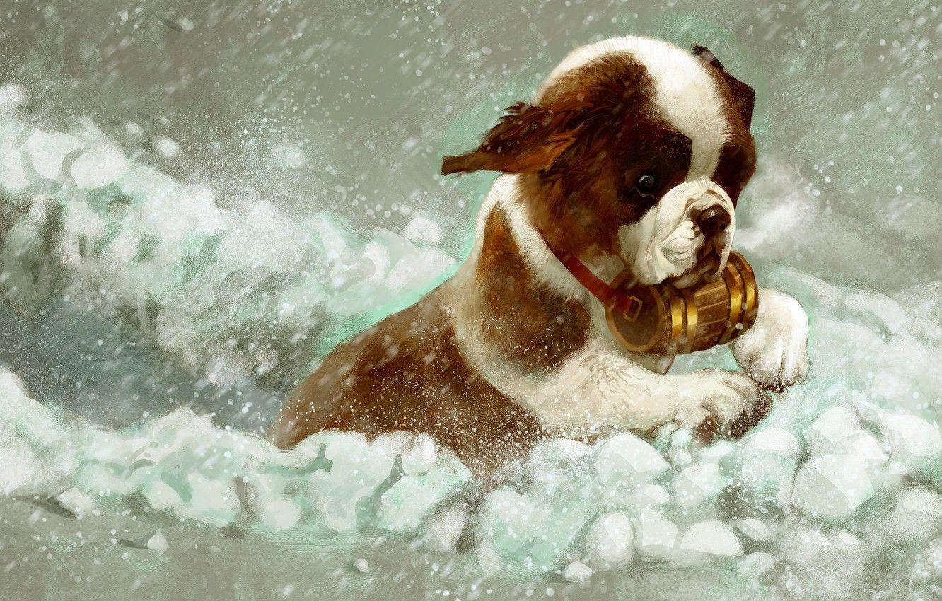 1332x850 Wallpaper winter, snow, St. Bernard, puppy image for desktop, section арт