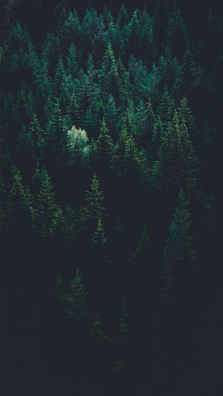 736x1308 Bringing The Forest To You With 9 Free iPhone X Wallpaper