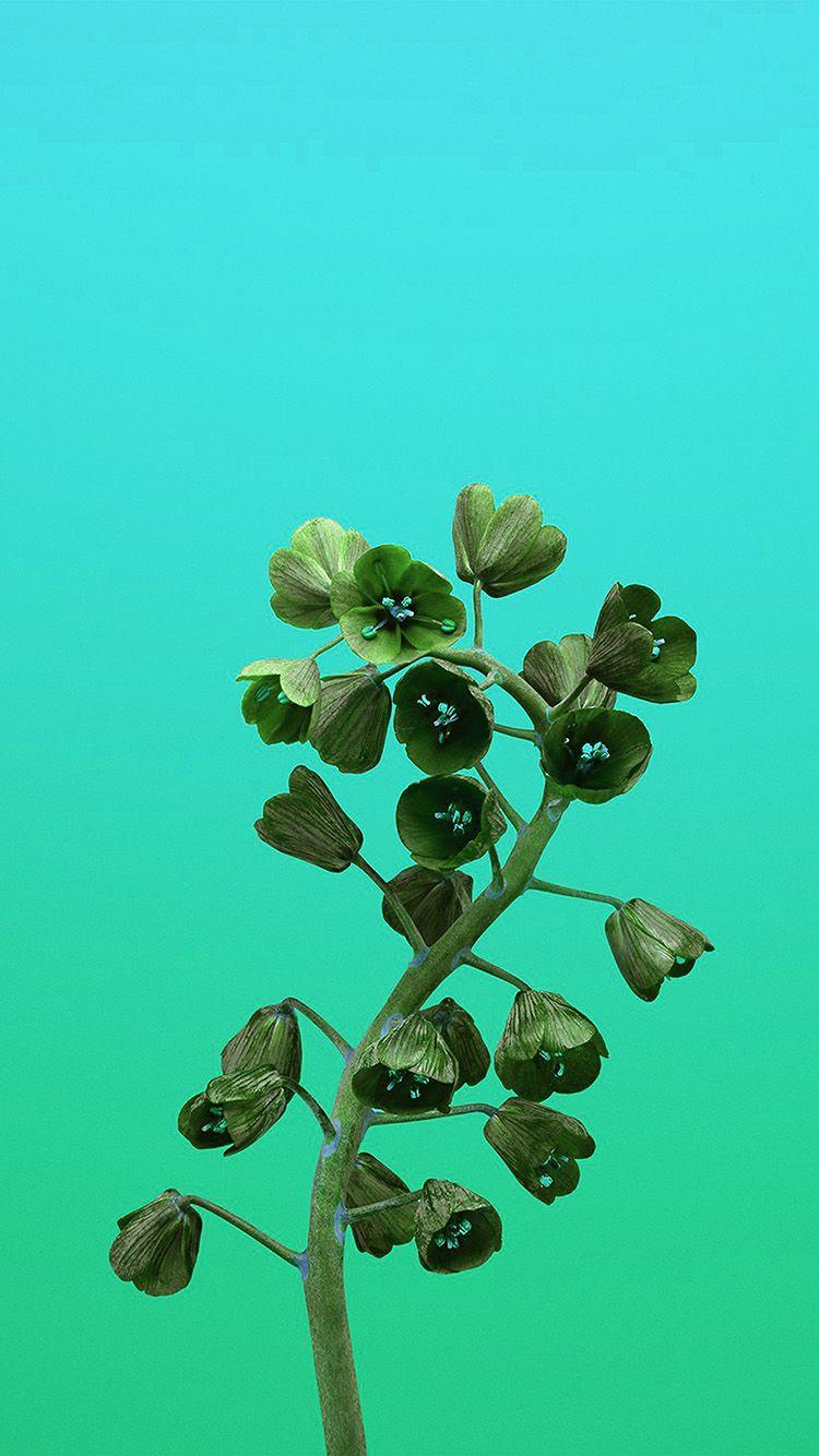 750x1334 Apple Iphonex Flower Illustration Art Green