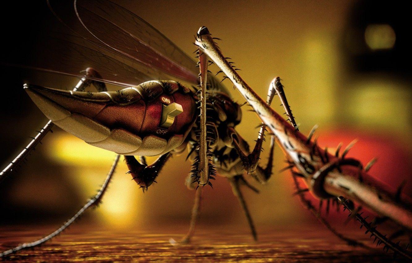 1332x850 Wallpaper the mosquito, off, mosquito image for desktop, section рендеринг