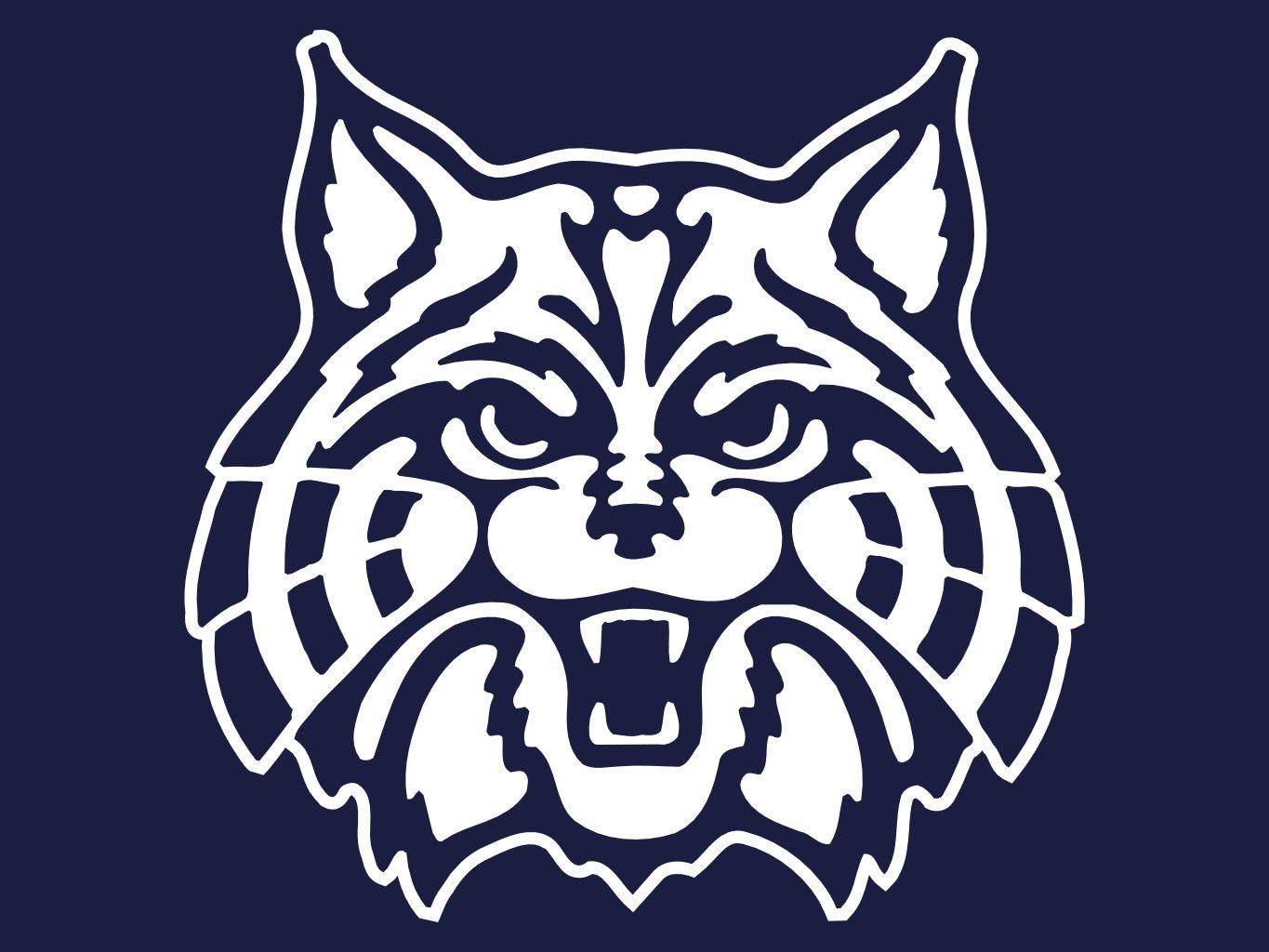 1365x1024 Arizona Wildcats Football. Download HD Wallpaper
