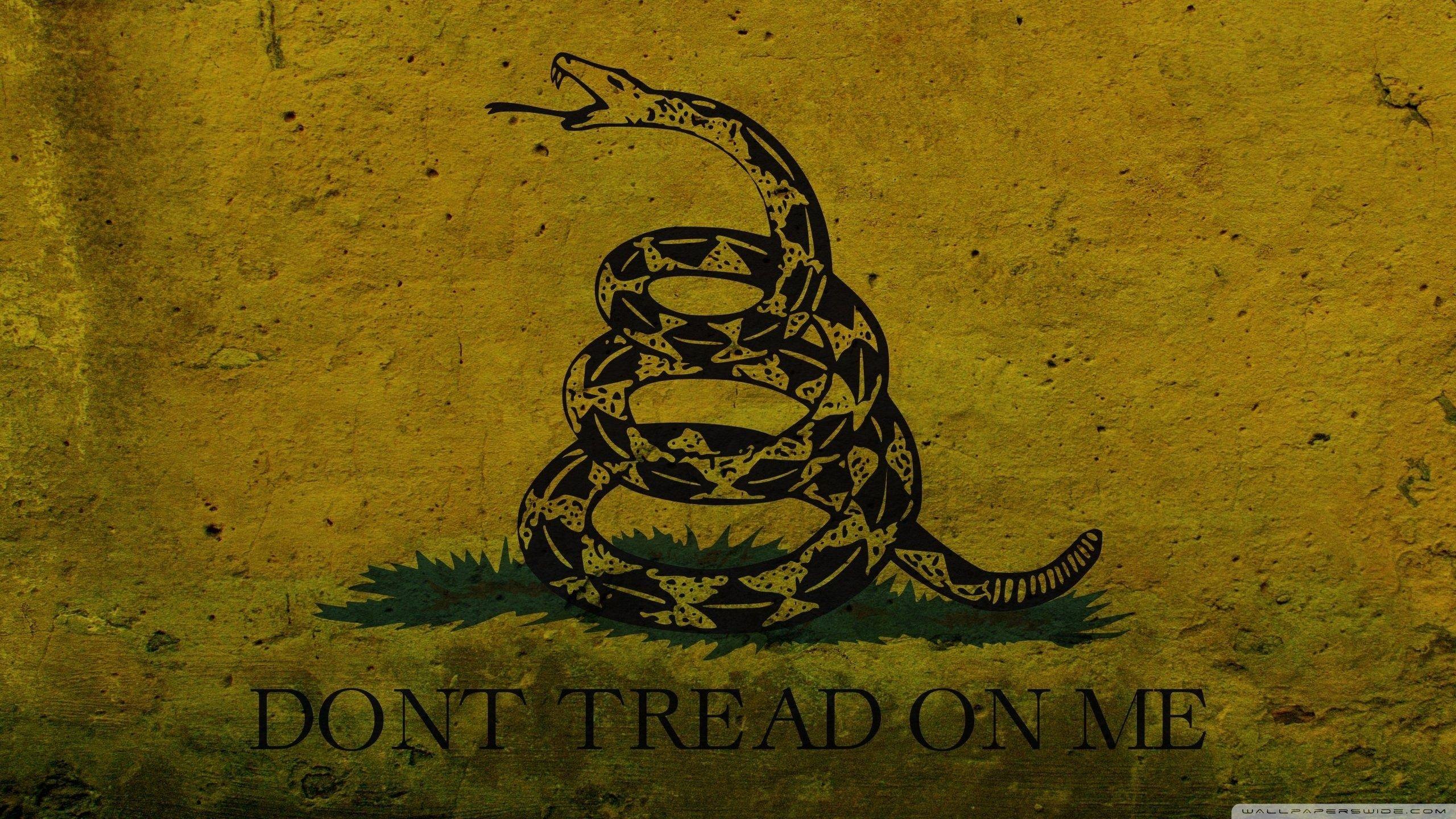 2560x1440 Don't Tread On Me Wallpaper