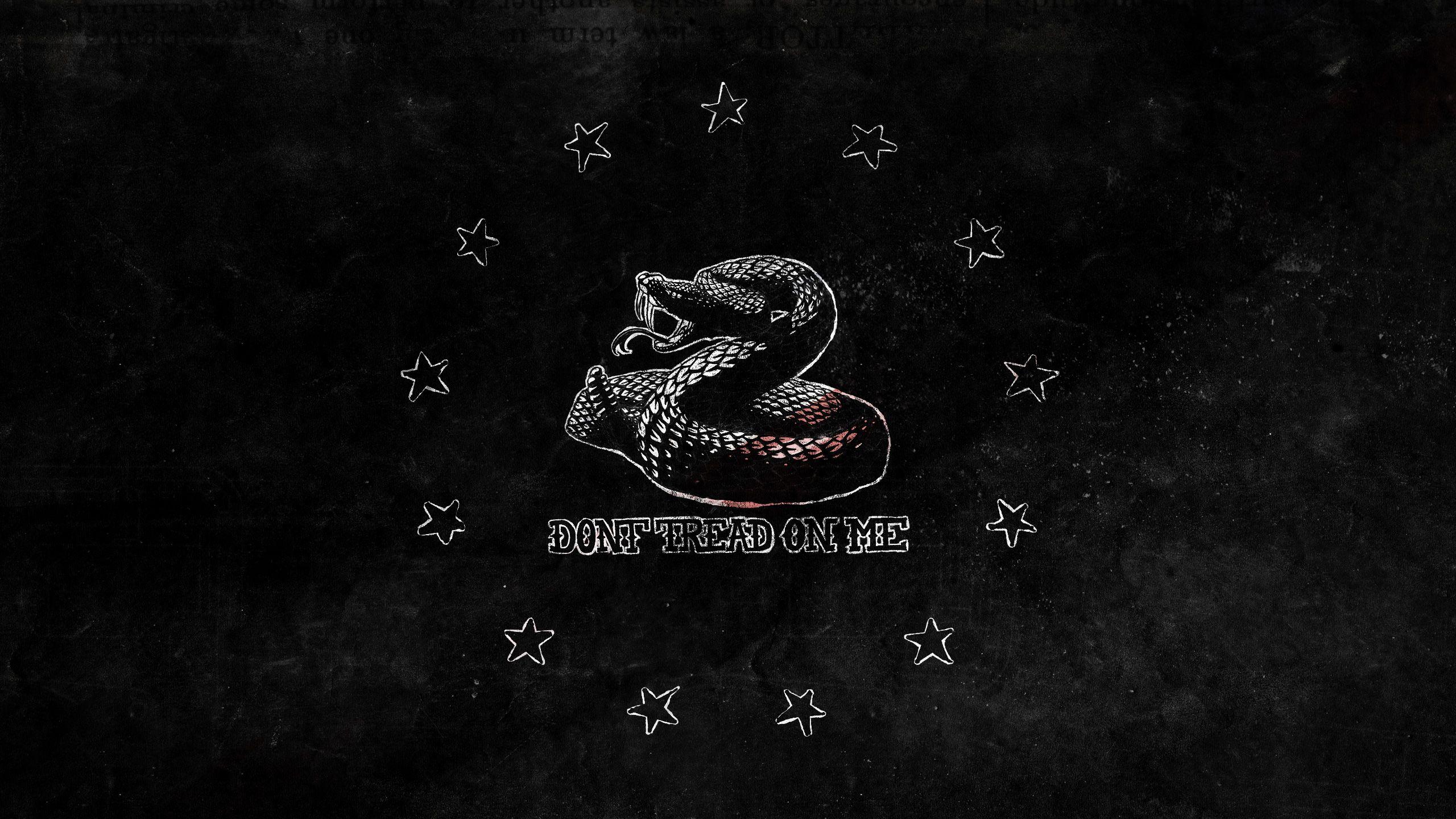 quote libertarianism snake Gadsden Flag gray typography serpent   1920x1080 Wallpaper  wallhavencc