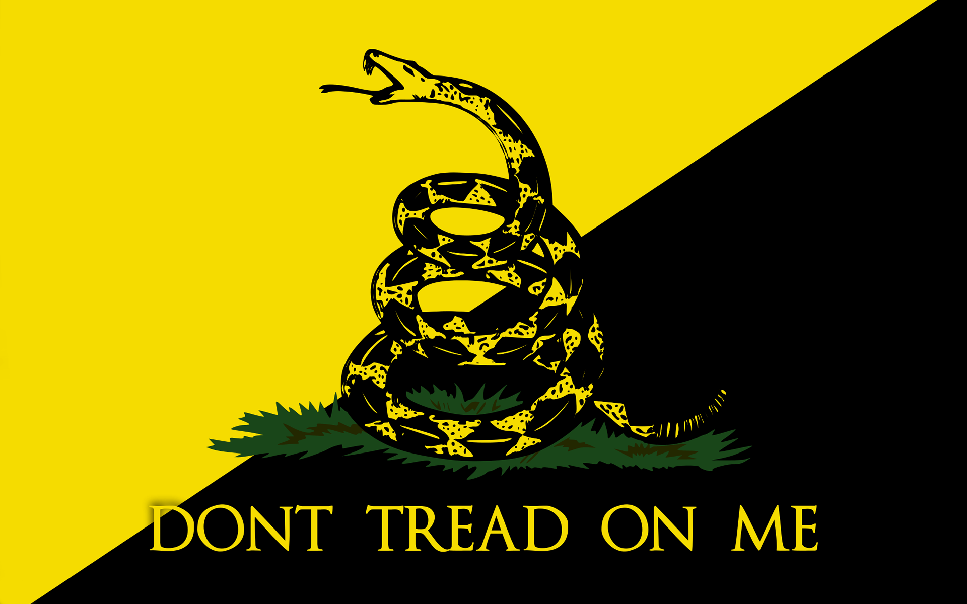 1920x1200 Download 1920x1200 Flag of Gadsden wallpaper