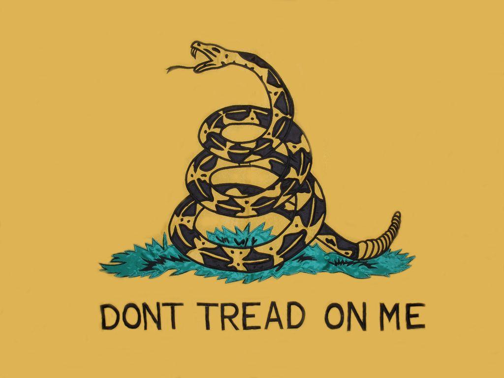 1024x768 Minute History: Gadsden Flag