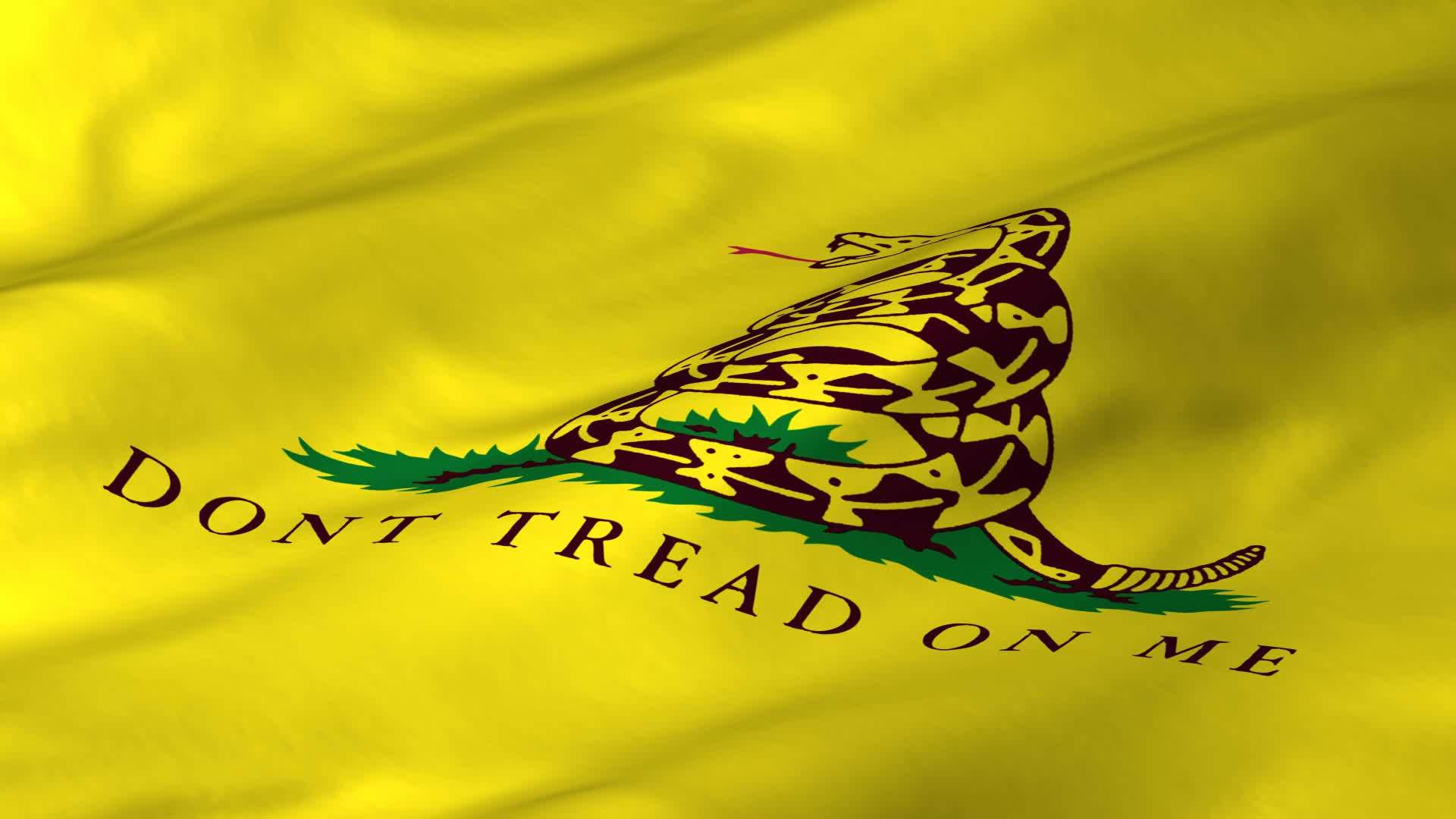 1920x1080 Best 47 Don T Tread On Me Wallpaper On Hipwallpaper Tread On Me Flag Waving, Download Wallpaper