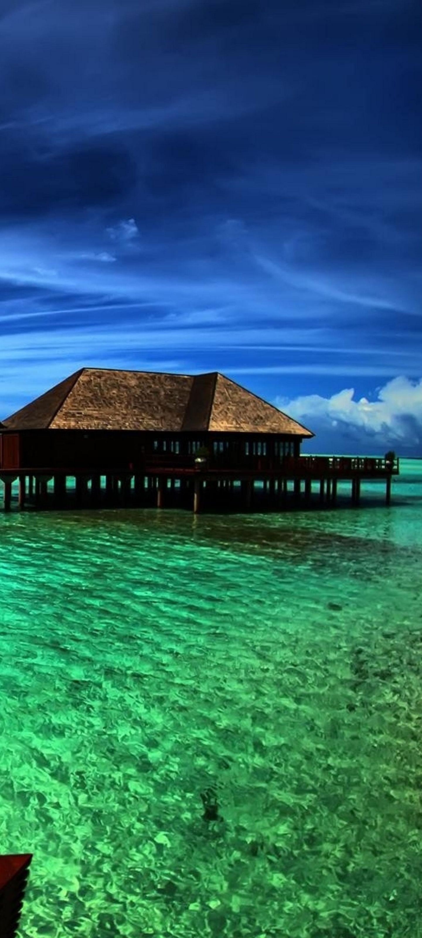1440x3200 HD Wallpaper