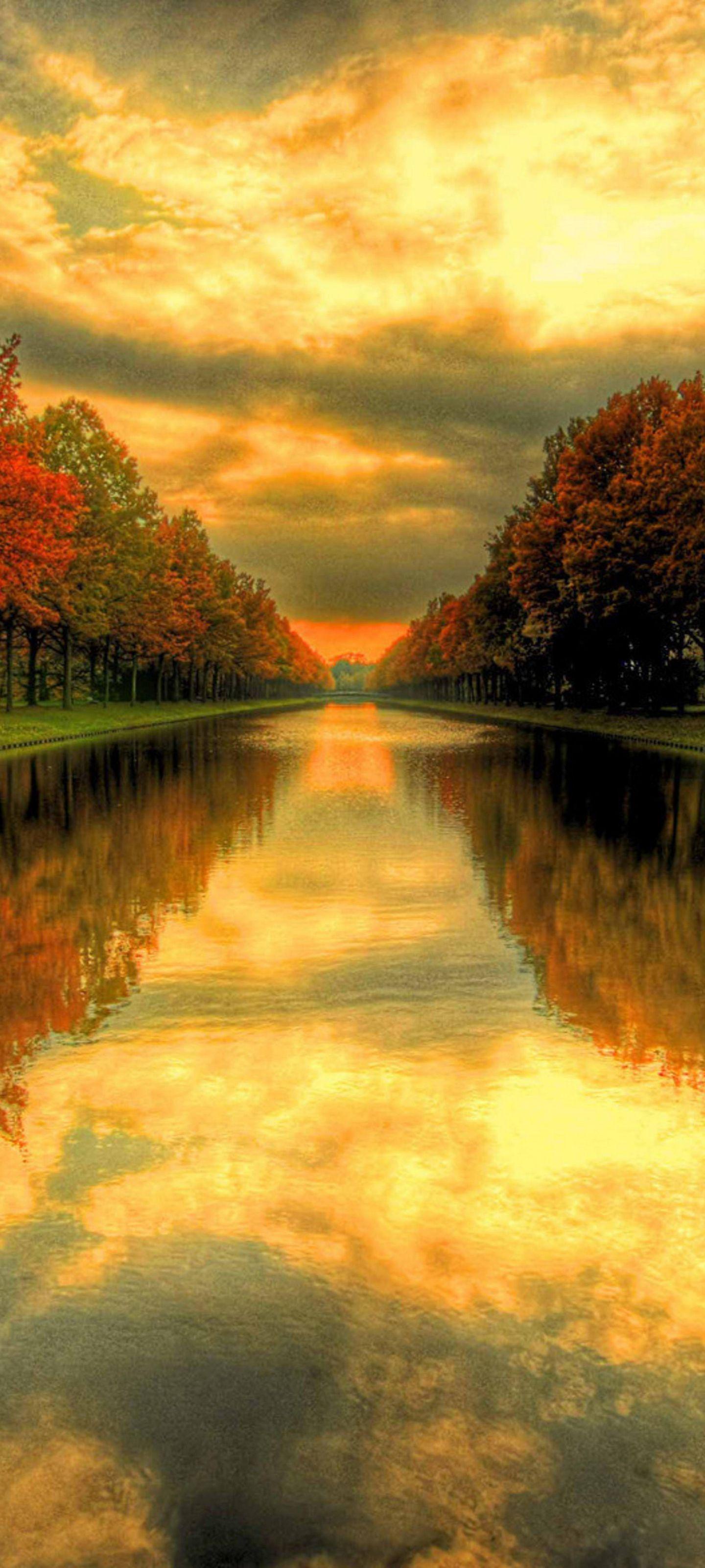 1440x3200 HD Wallpaper