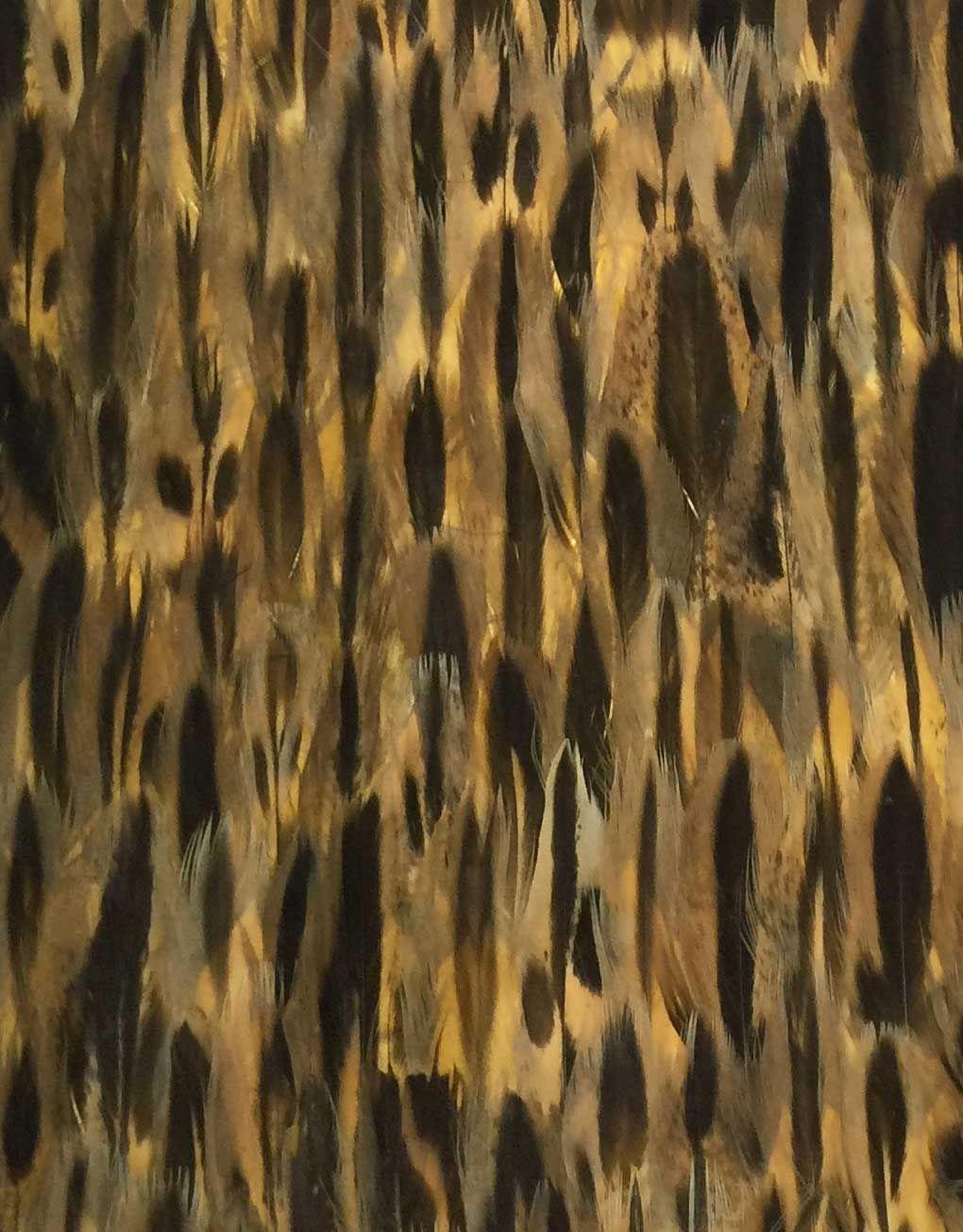 1020x1304 Real Peacock Feather Wallpaper Wildcat Pattern. Feather Wallpaper