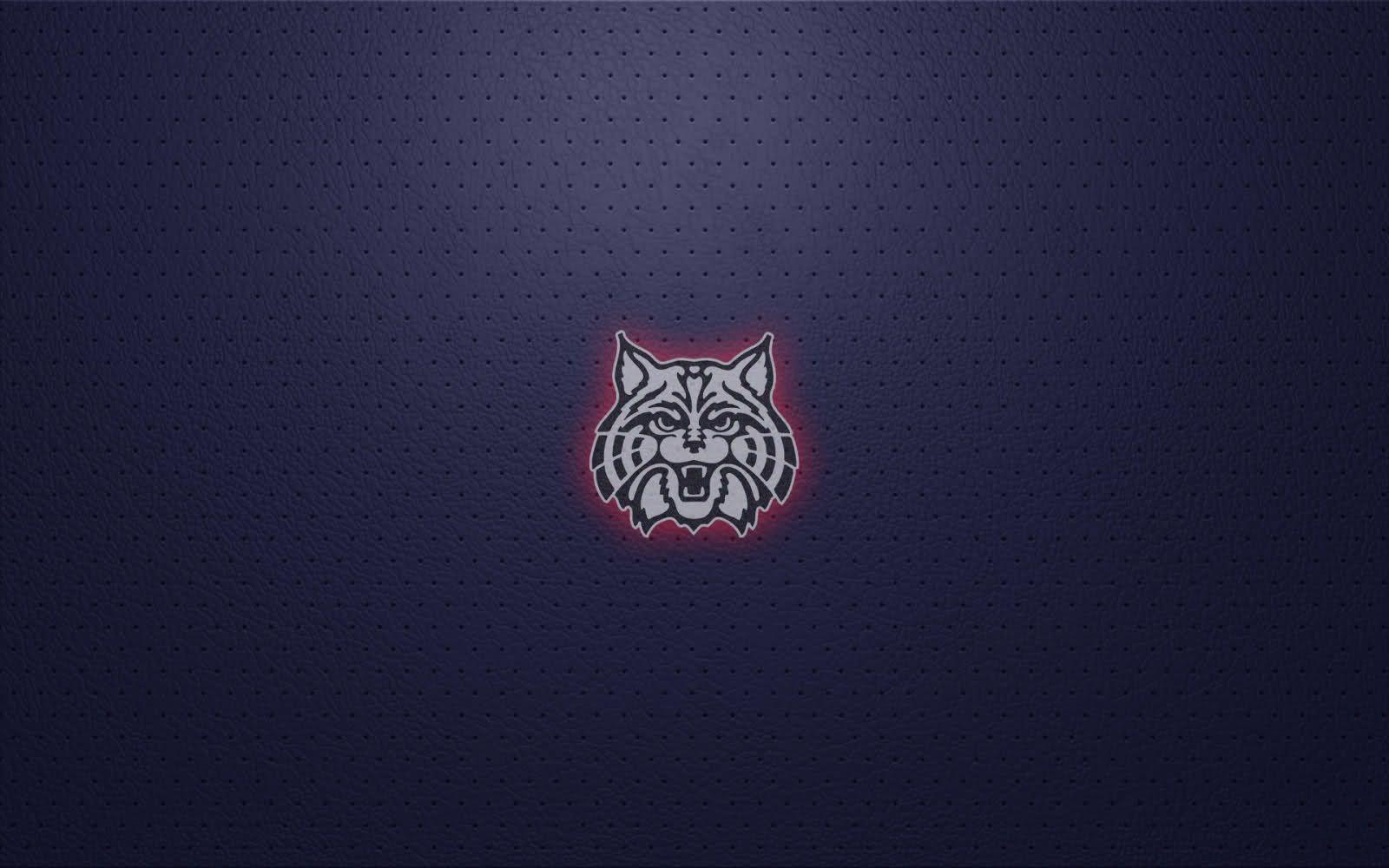 1600x1000 University Of Arizona Wallpaper
