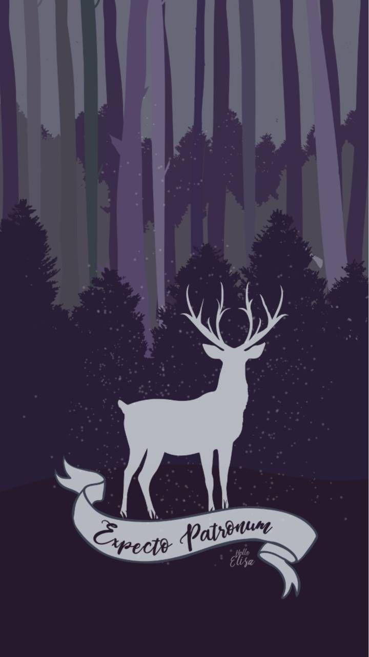 720x1280 Expecto patronum. Harry potter wallpaper, Harry potter background, Harry potter iphone wallpaper