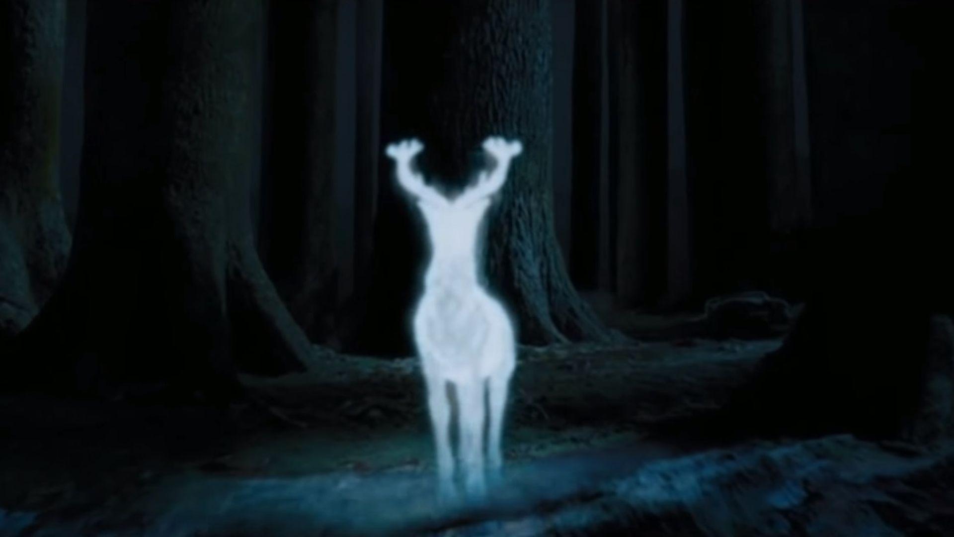 1920x1080 Which Rare Animal Is Your Patronus?