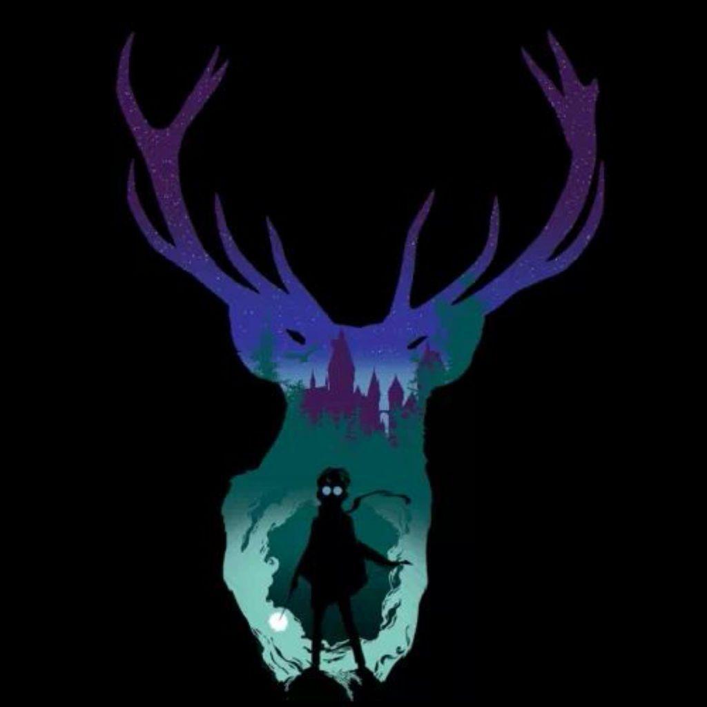 1024x1024 Expecto Patronum shared