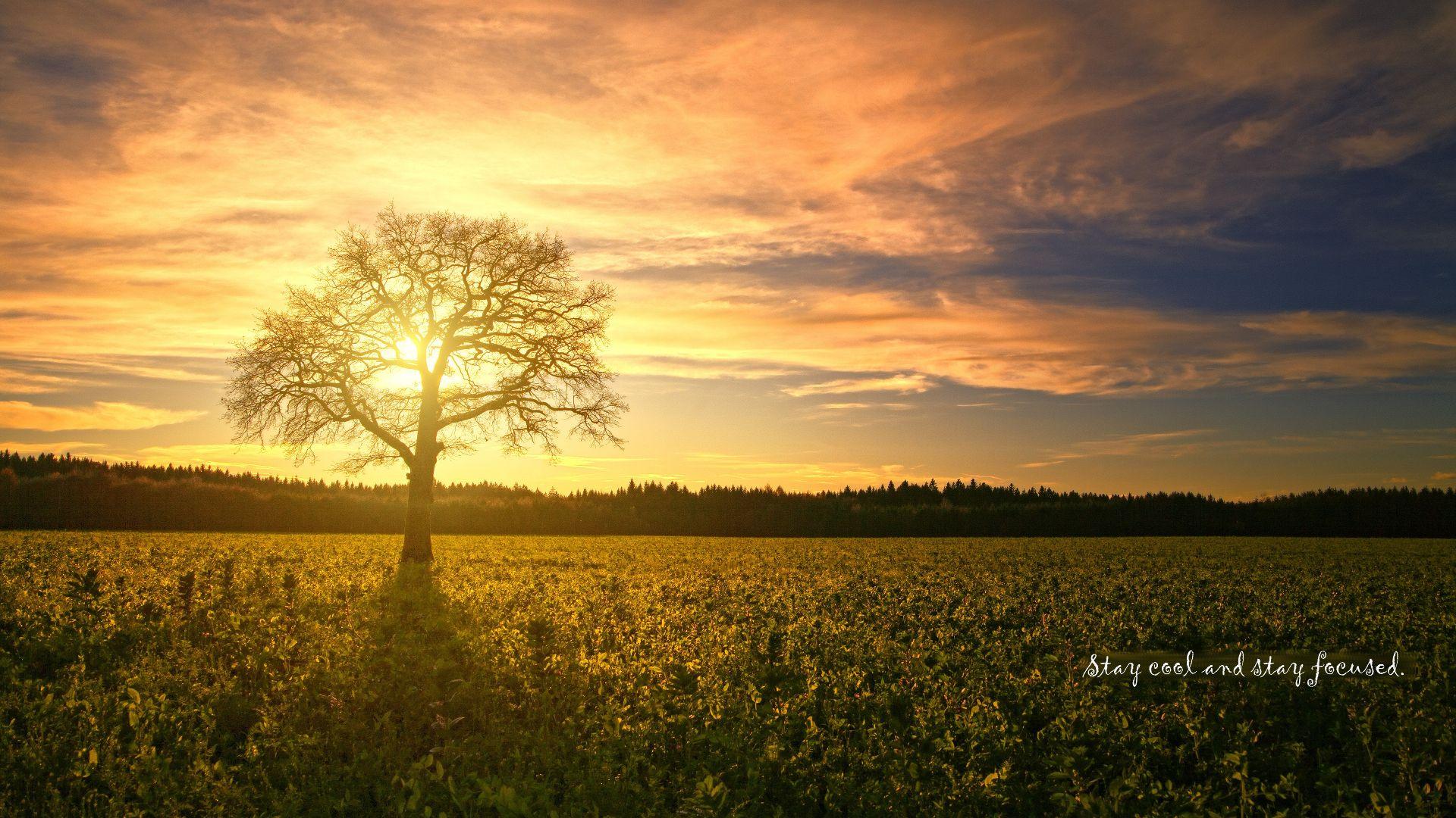 1920x1080 4K Wallpaper Stay cool and stay focused