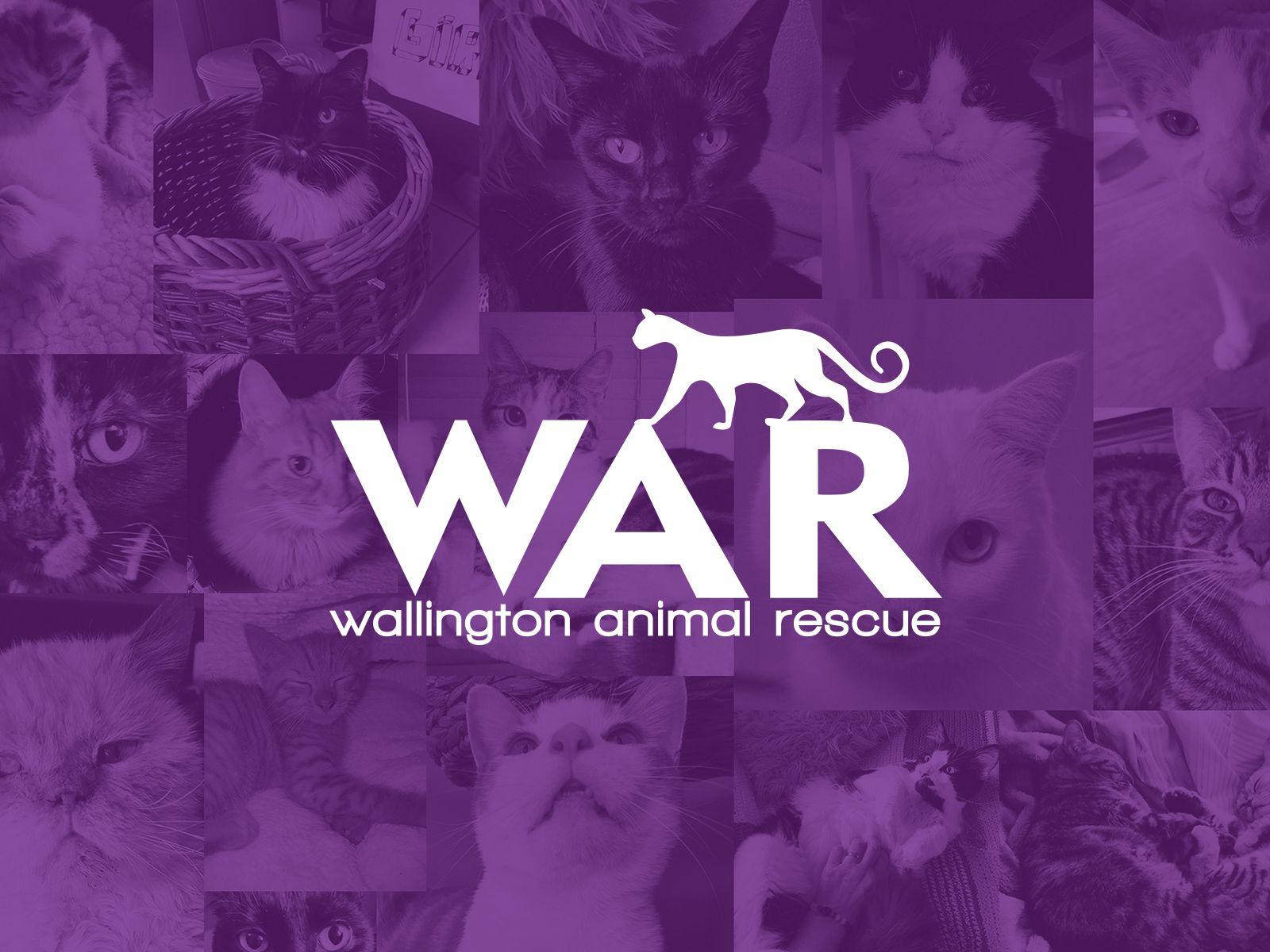 1600x1200 WAR Digital Wallpaper Animal Rescue