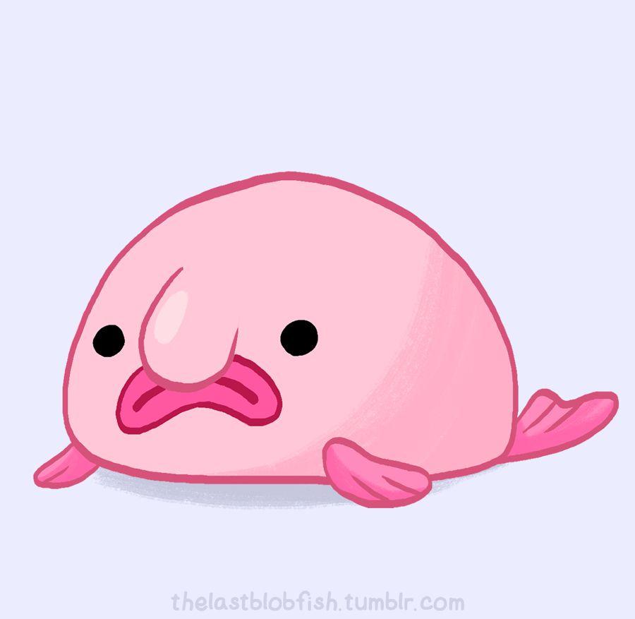 900x877 Save the blobfish. Blobfish, Fish drawings, Cartoon fish