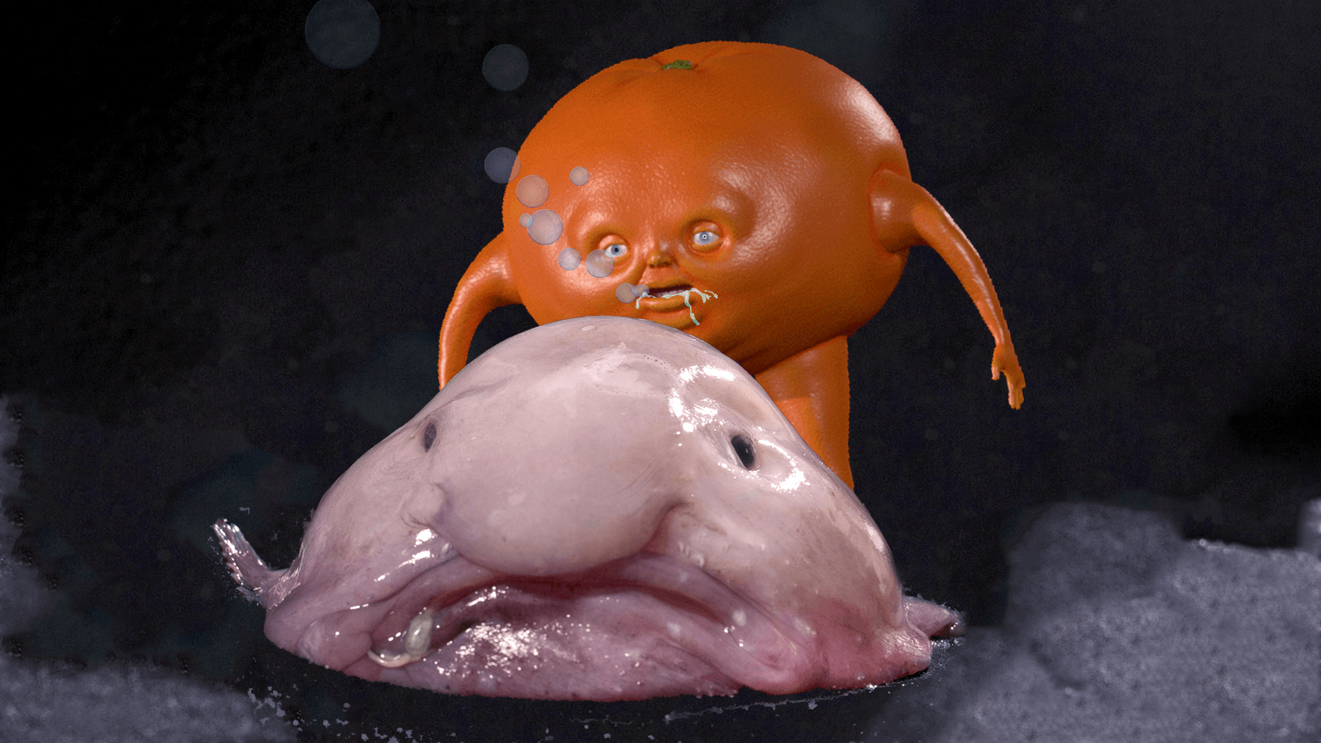 Here is a free blobfish wallpaper  The Blobfish Army Amino