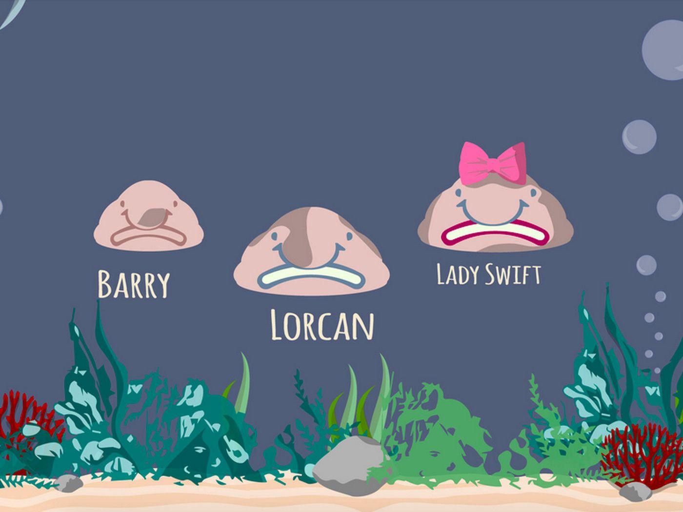 1400x1050 Profoundly Hideous Blobfish Is Latest Animal to Score Its Own Cafe