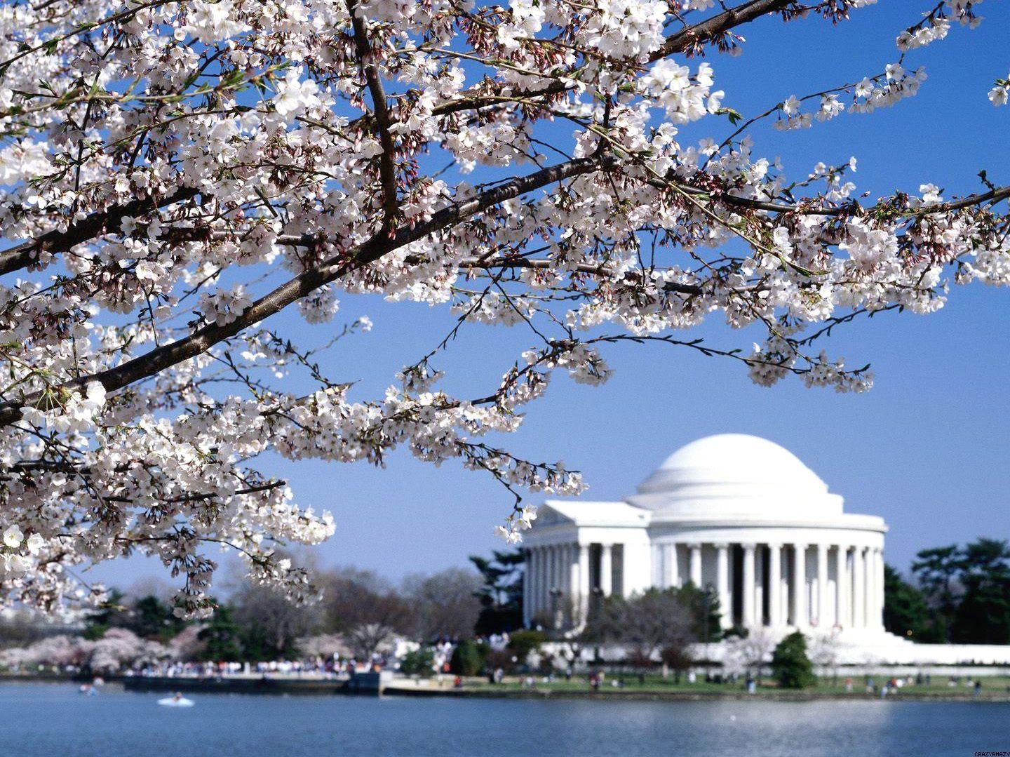 1440x1079 A Parents' Guide to a Spring Break Staycation in Washington, DC