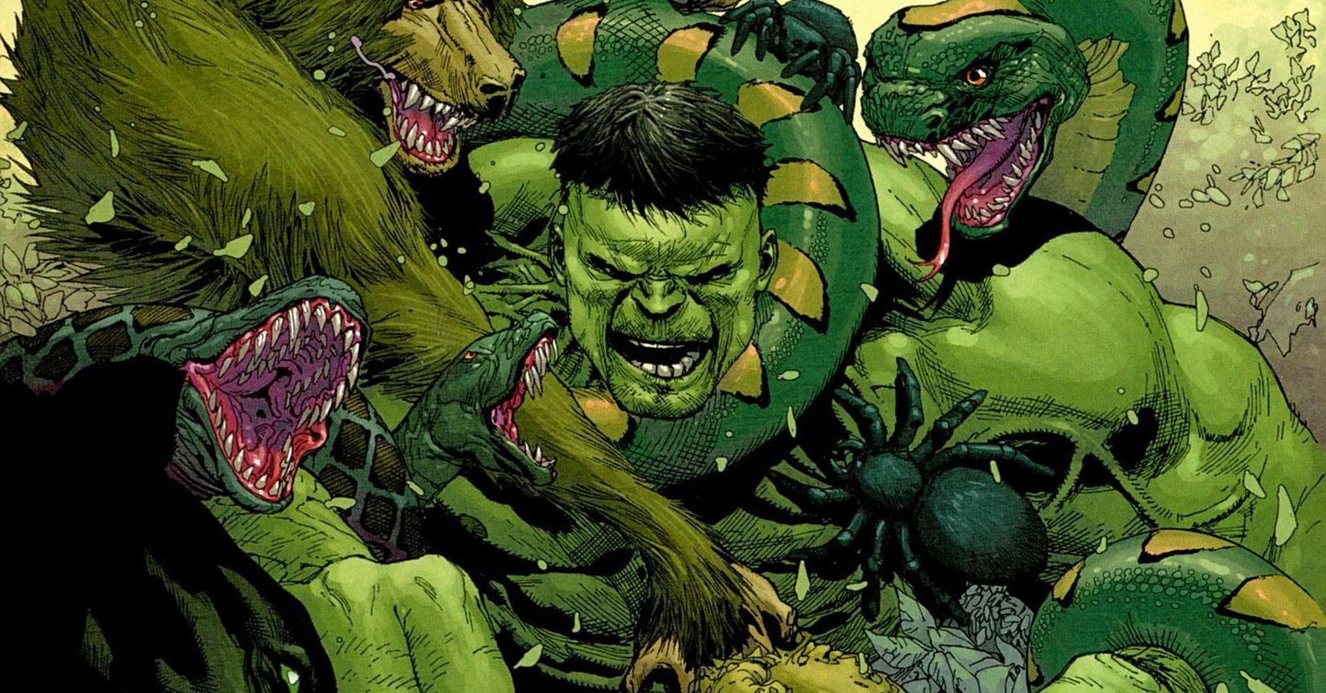 1920x1004 Hulk Wallpaper Free Download