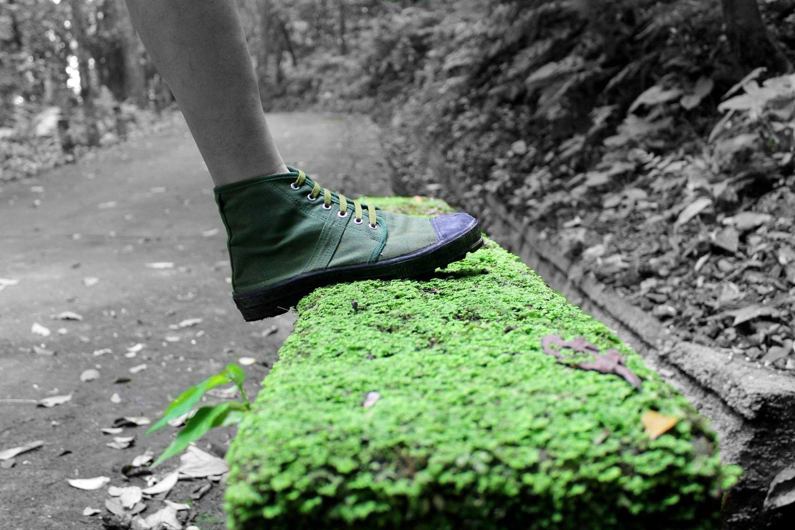 1600x1066 Person Outdoors Trees Grass Road Summer Green Shoes Park Wallpaper.com. Best High Quality Wallpaper