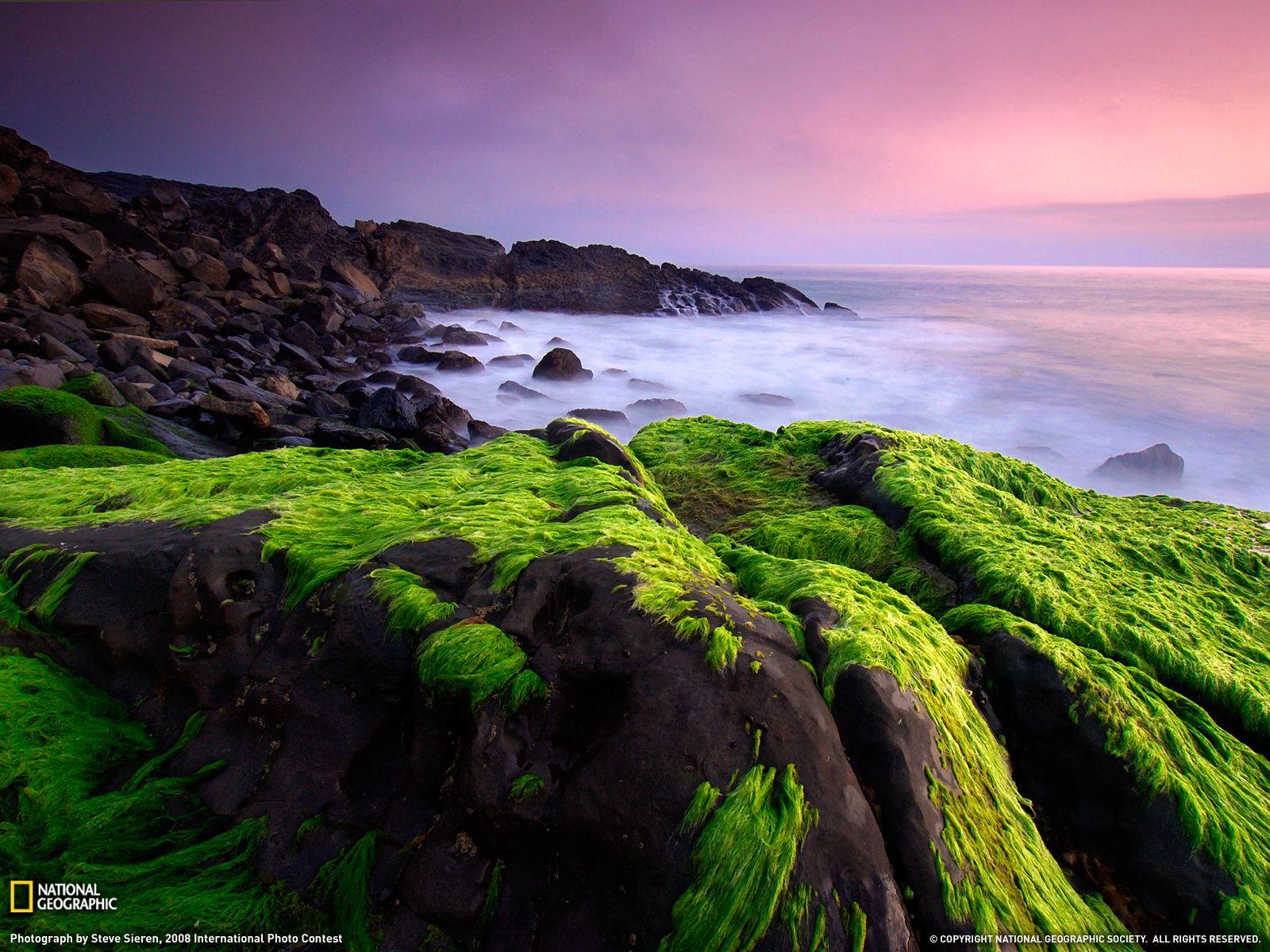 1600x1200 Free download Monica Shore Photo Wallpaper National Geographic Photo of the Day [1600x1200] for your Desktop, Mobile & Tablet. Explore Nat Geo Wallpaper Winners. Free Desktop Wallpaper, Free Wallpaper