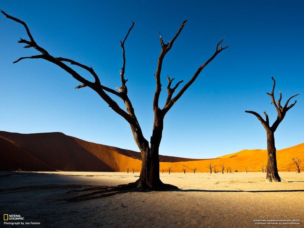 1024x768 National Geographic wallpaper Best Ever Taken