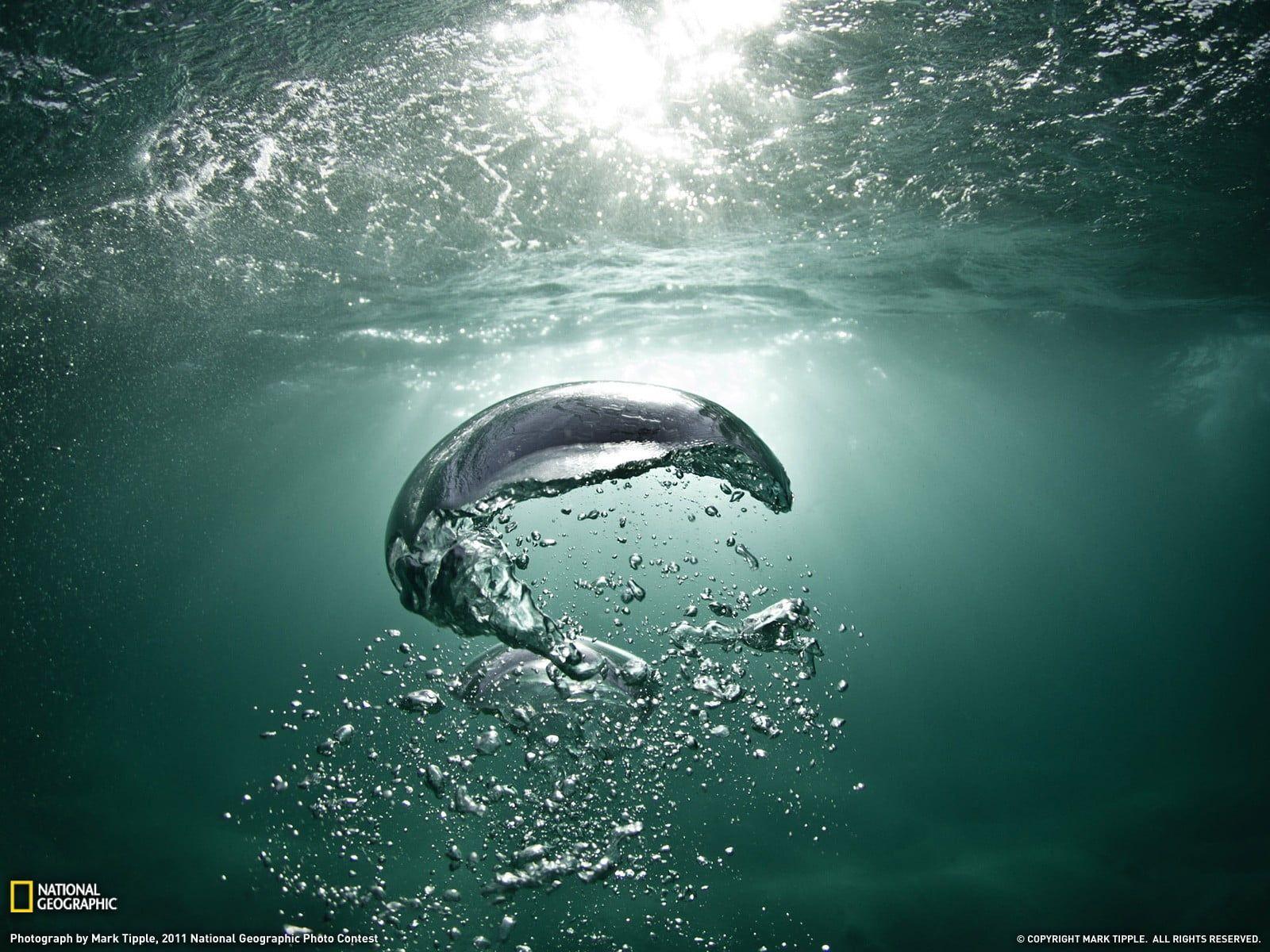 1024x768 National Geographic Photography HD Wallpaper