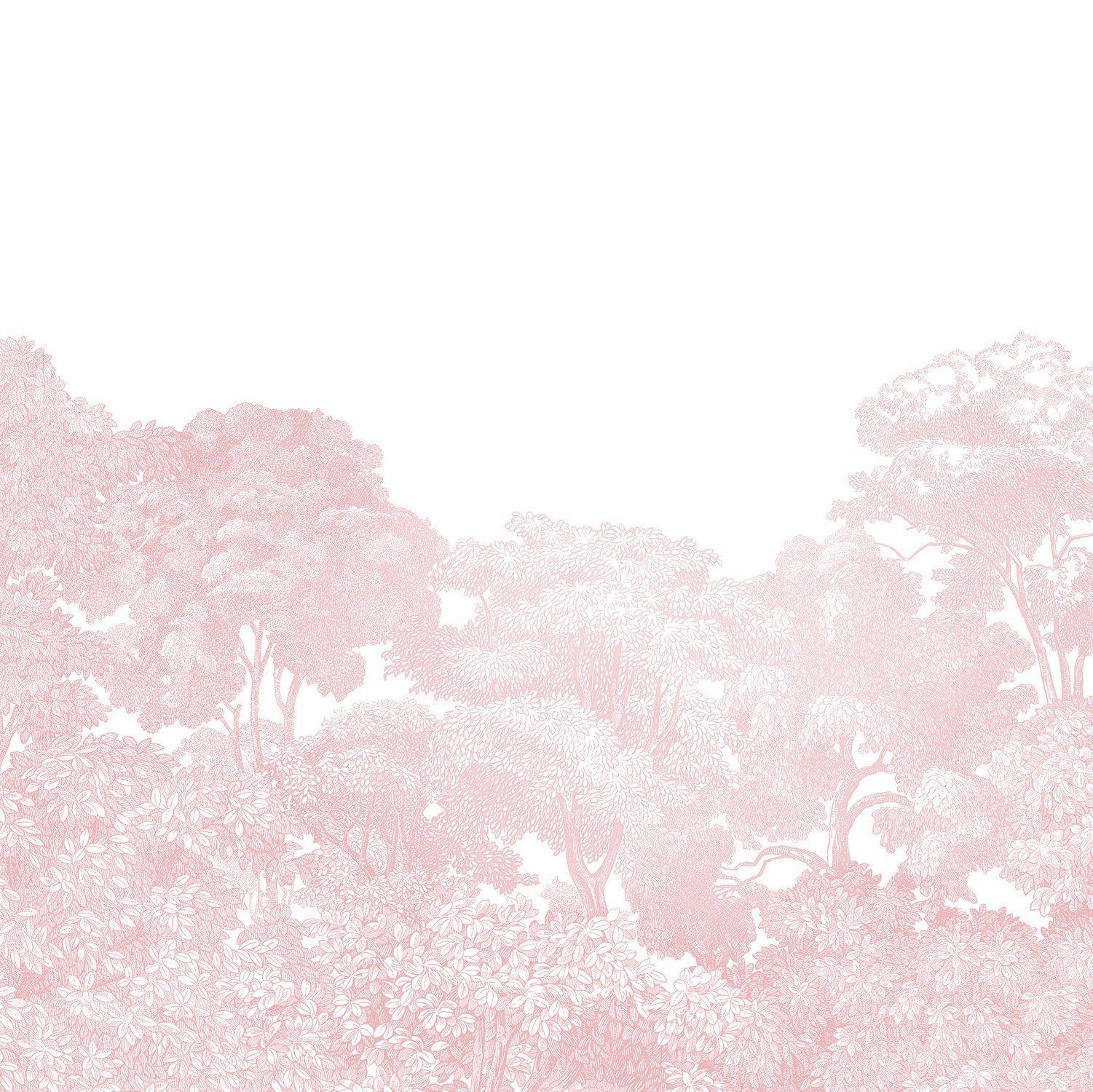 Dusty Pink Laptop Wallpaper