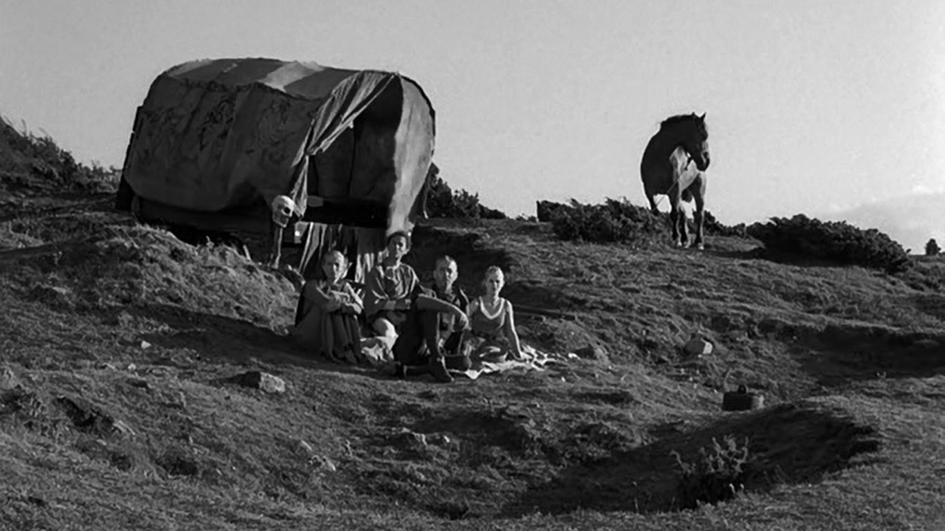 1366x768 cranes are flying: The Seventh Seal (Det sjunde inseglet)
