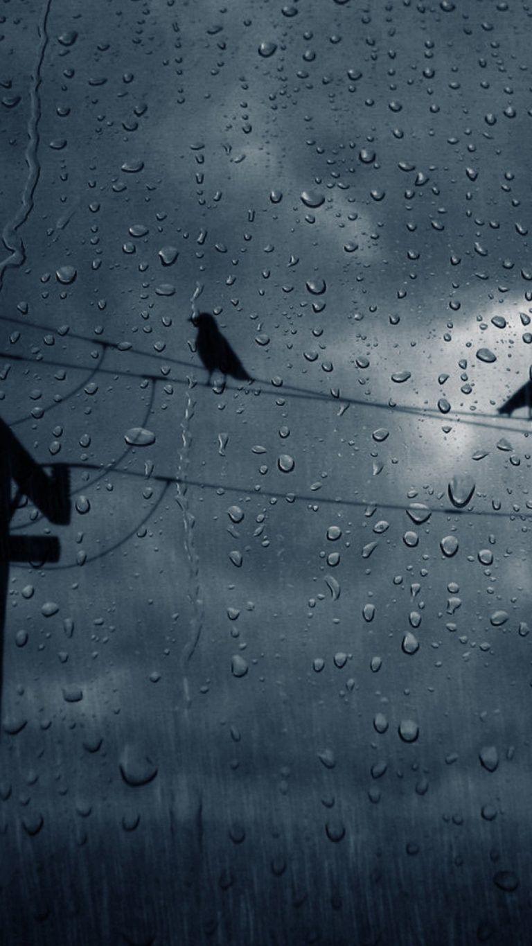 768x1365 rain wallpaper 025