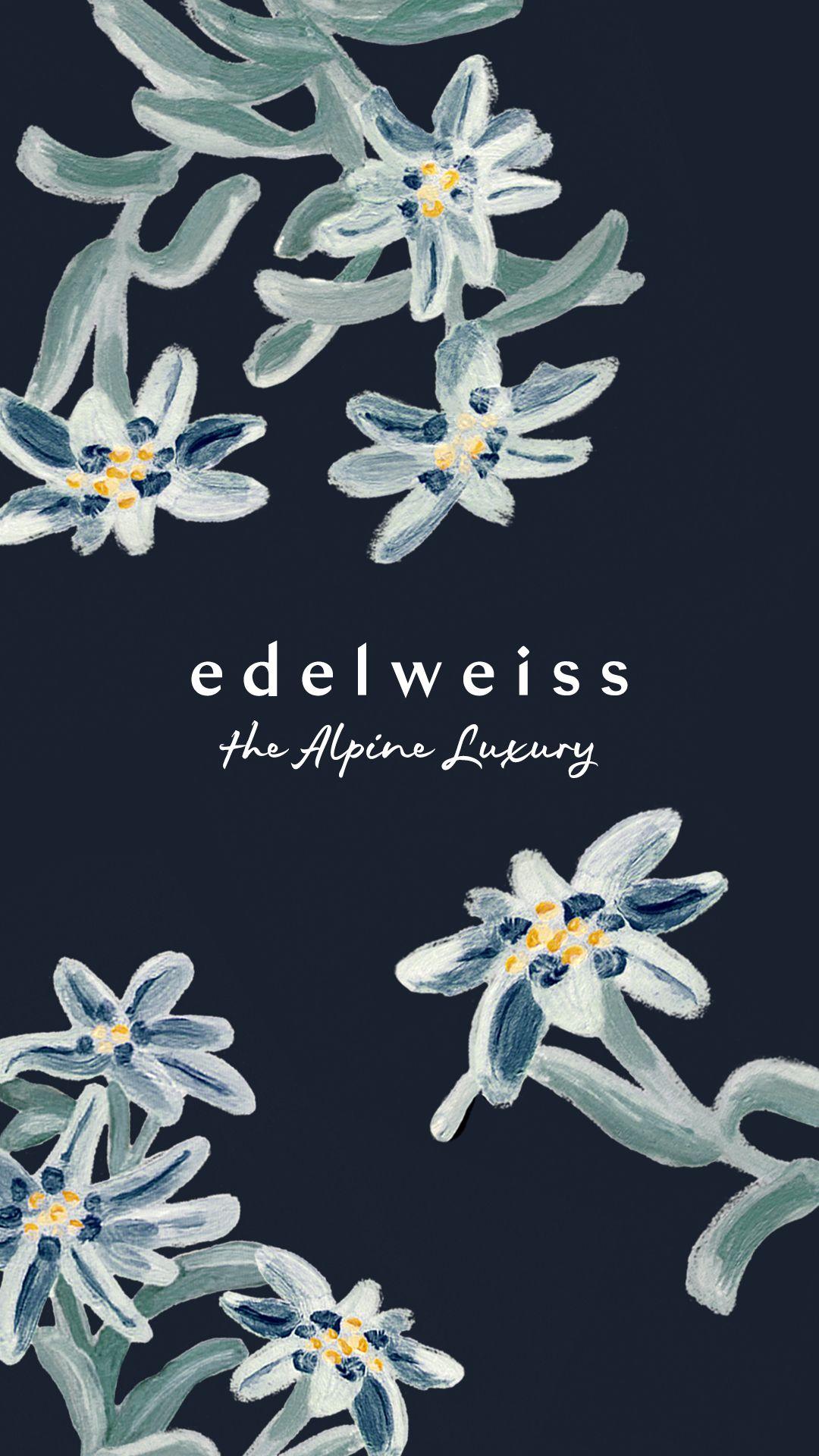 Edelweiss Wallpapers - Top Free Edelweiss Backgrounds - WallpaperAccess