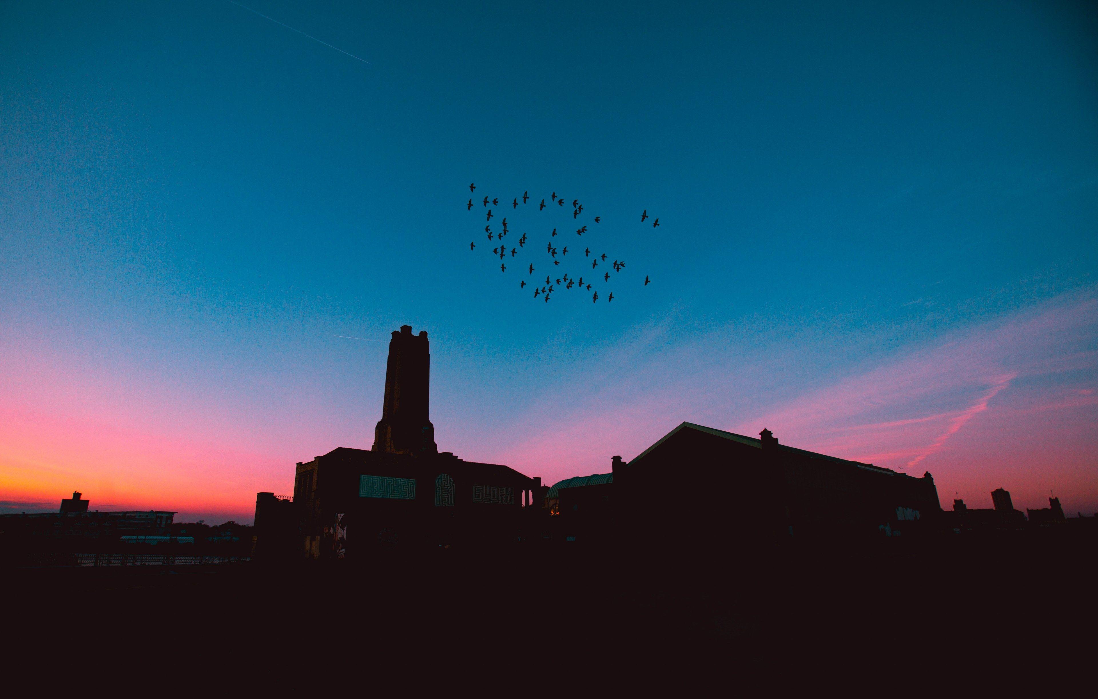 3840x2446 Wallpaper / a flock of birds in silhouette over an industrial chimney during a pink and orange sunset at ashbury park, _birds in the trap sing mcknight 4k wallpaper