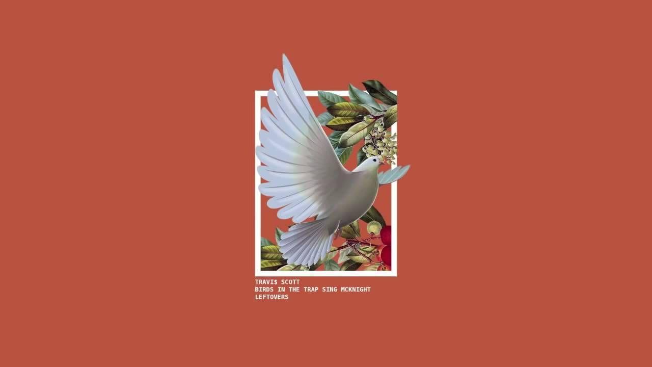 1280x720 Travis Scott Yeah Feat. Young Thug. Travis scott birds, Young thug, Travis scott